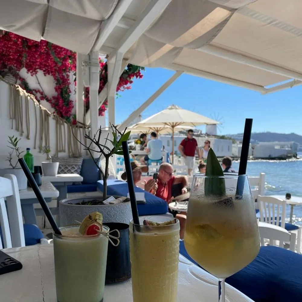 Rhapsody Bar