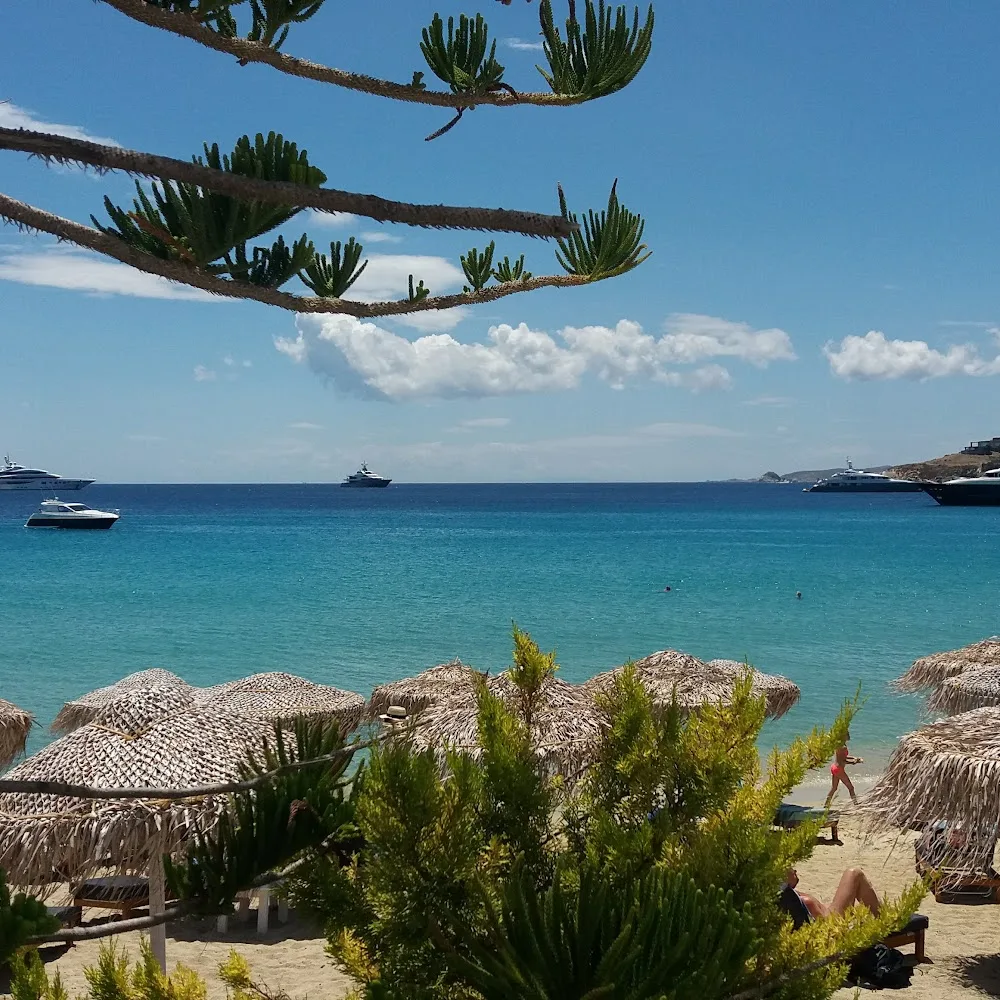 Monarch: Restaurant - Beach Club