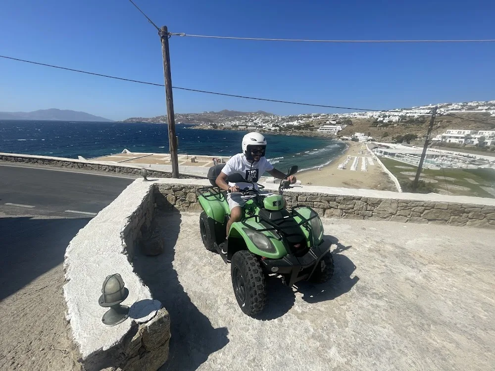 Brothers rent mykonos