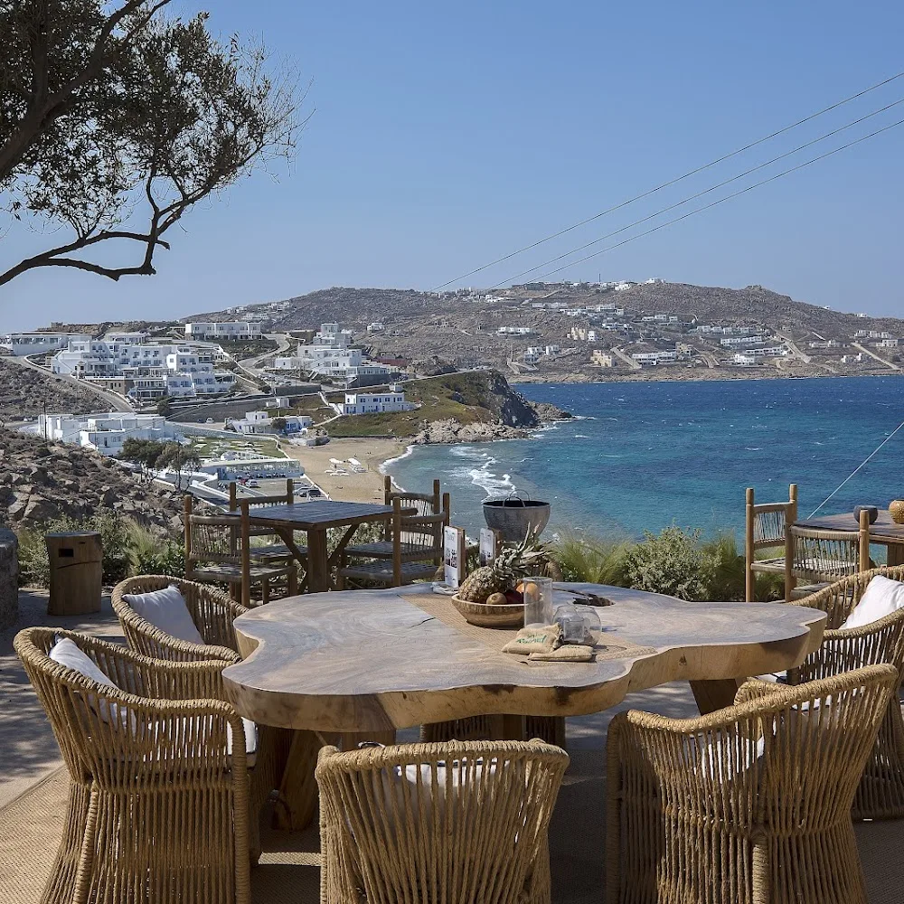 The Garden of Mykonos