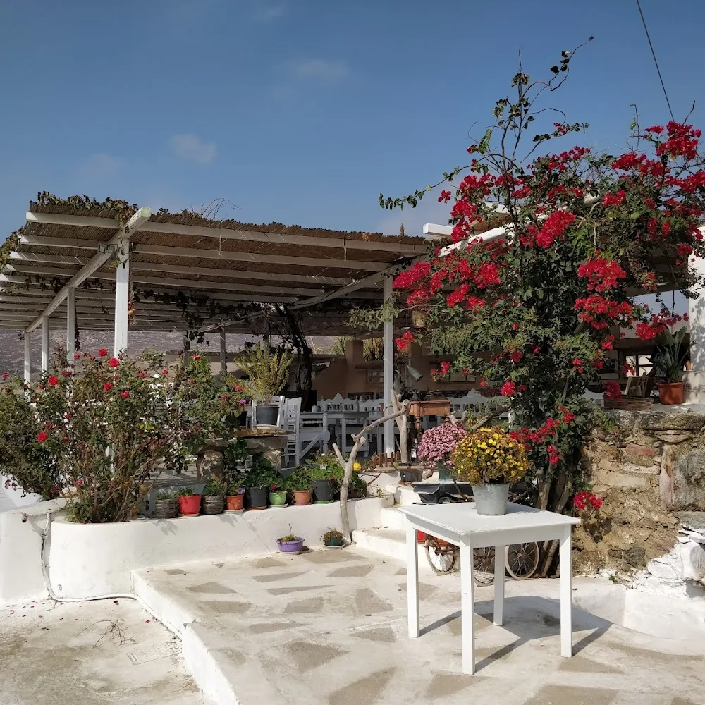 Mykonos Vioma Organic Farm